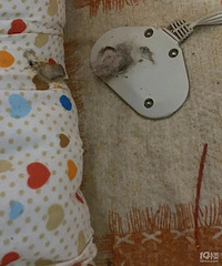 ���Ƕ���������ʹ�õ���̺�𣿲�����һ��ĵ���̺����ը����