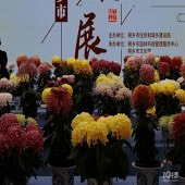 �����;�ϵ��