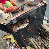 ������С̯