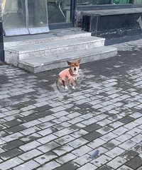 ˭�Ĺ�������ͩ������ҽԺ�ſڼ񵽵ģ��и����ƣ�ɨһɨɶҲû��