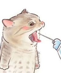 �������ܵ�19¥�����ʼ�������������������ܺ��ᰡ��