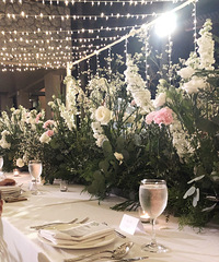 ��һ���ں��߳�ϯ���⻷�� ��Χ���� �Ե���Ȼ����ʽ�ģ�