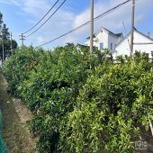 ʮ�����������