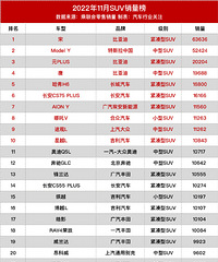 2022��11�½γ�/SUV/MPV����Դ��������ȫ��