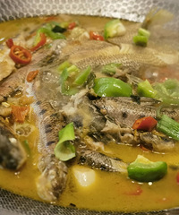 �������ݲ�һ������200+