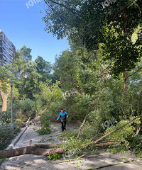 ̫��ʹ�ˣ�ס��Ԫһ��ׯ��10�꣬��ǰ����ȫ�����⣡