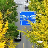 ����·������