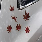 һ���� ������ױ