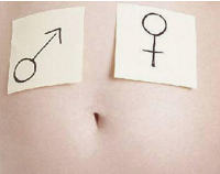 ���������ʴ���ʻ�ܲң����ж�̥������ֱ��˵������