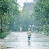 �����װ�ع�