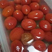 ���ƻ�÷��ˮ����