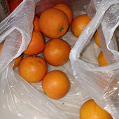 ȫ�Ҷ�����