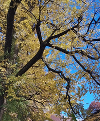 ����������ľ����İ� ���������Ǹ����Ӱ���