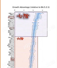 ����Ŀǰ���е��¹ڲ������ĸ���֧�� �����˽���