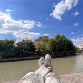 �������Ӧ�Թ���