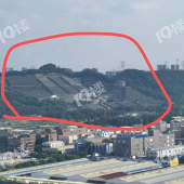 ����Ĺ������