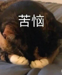 ��������֮��������ʲô����֢�𣿰���������һ��ڿ��ԡ�