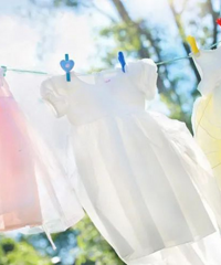 ������ ���ӵ��������������ɱ���������