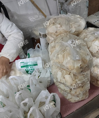 �˳������Ѿ��ܶ��� �������尢���ǣ����̳��˻�Ҫ���ˡ�