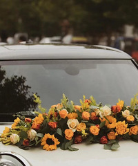 ���Сʱ��ɹ�鳵����/�鳵���� �Ͷ��ذ�����ջ���˪