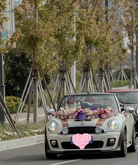 ����5Ԫ�������ɹ�鳵���ӺͲ��� ����ջ���˪ ��������