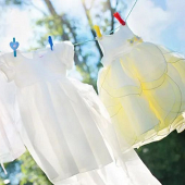 ������ ���ɱ��