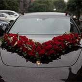 �����ɫ��ͷ����