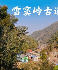 ��Ҷ��ڿ����� ��ȥ������ɽ��