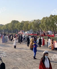 ��������������Ļ����е����壿һ�겻��һ��ļ��ӸС�