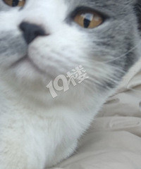 ���������˻����������������� ���Թ��ܶ඼û�á���