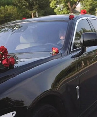 �ҵĻ鳵��6����ͷ����˹��˹ ��������s