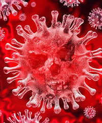 ���£������뾳��ԱҲ����XBB���㽭ʡ�������ķ���������ʾ��