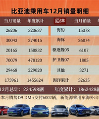 比亚迪乘用车12月份销量明细 一个月卖23.4万辆!