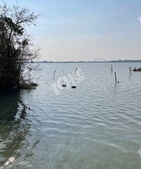 һ�Ժ���죡�������ˣ����»�������