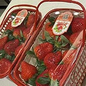 ����һ��Ĳ�ݮ��