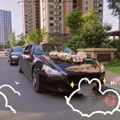 �ƺƵ����ĳ���