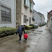 �����޾�ʧ����