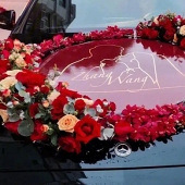 �鳵��ôװ�ο�����