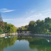 �ѵõĺ�����