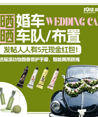 ɹ�鳵���Ӳ��� ����ջ���˪ ��������