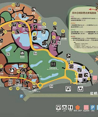 ����ȥ���Ϻ�����԰ �ڳ��ж���԰�������� �Ⱥ��ݶ���԰��