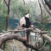 ������ȥ�˶���԰