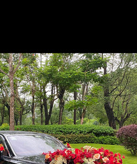 ��ĸ����ȥ�賵�㶨�˻鳵�� �ܲ���