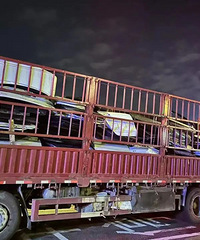 ���˸����ϣ�һ�ȳ��ŷɹ������ŵ��Ҷ������ˣ�