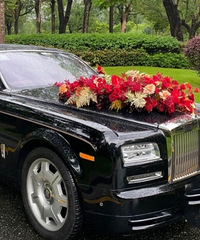 ��ĸ����ȥ�賵�㶨�˻鳵�� �ܲ���