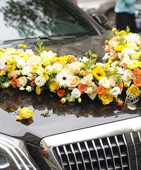 �鳵װ��������ϲ�������տ� ��װ��800��