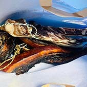 �й����ζ���ˣ�