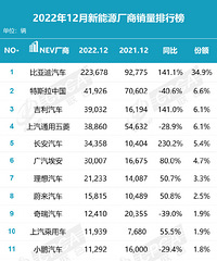 2022年新能源汽车厂商销量榜!