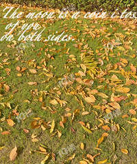 ������ݵ�̫�� ��������������ۿɼ���ʪ