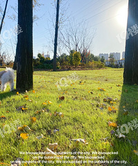 ������ݵ�̫�� ��������������ۿɼ���ʪ